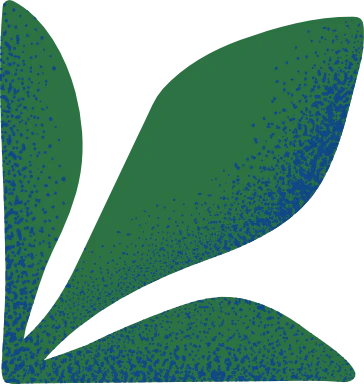 shape
